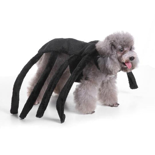 Spider Dog Halloween Pet Costume