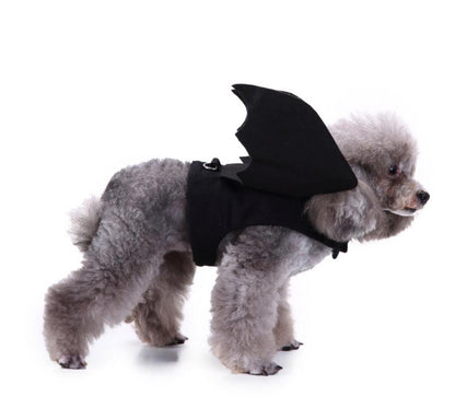 Spider Dog Halloween Pet Costume