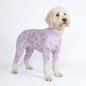 Dog Pajama - When Pigs Fly