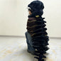 Dinosaur Plush Exoskeleton Costume | Kids & Adult Halloween Outfit-377