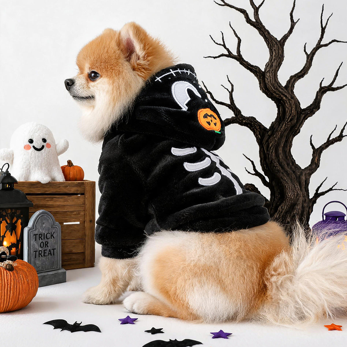 Halloween Skull Pumpkin Dog Cat Hoodie
